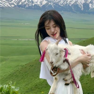 屠夫状元
